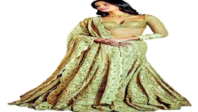 અનન્યા પાંડે અને કાર્તિક આર્યન તેમની આગામી ફિલ્મમાં.