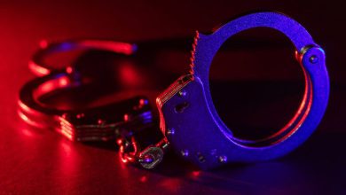 'અંકિતા શર્મા'એ આર્મીના સૂબેદારને હની ટ્રેપમાં ફસાવ્યો ને.................ગુજરાતમાં પાકિસ્તાન સ્પાય નેટવર્ક