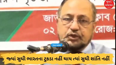 બાંગ્લાદેશના પૂર્વ જનરલે ભારત વિરુદ્ધ આપ્યું ચોંકાવનારું નિવેદન: 'જ્યાં સુધી ભારતના ટુકડા નહીં થાય ત્યાં સુધી શાંતિ નહીં'