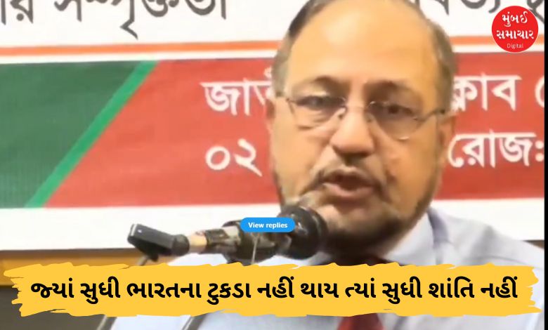 બાંગ્લાદેશના પૂર્વ જનરલે ભારત વિરુદ્ધ આપ્યું ચોંકાવનારું નિવેદન: 'જ્યાં સુધી ભારતના ટુકડા નહીં થાય ત્યાં સુધી શાંતિ નહીં'