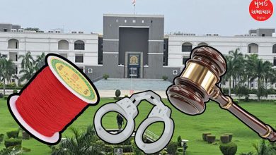 ઉતરાયણ પૂર્વે હાઈ કોર્ટ લાલઘૂમ: ચાઈનીઝ દોરી વેચી તો થશો જેલ ભેગા