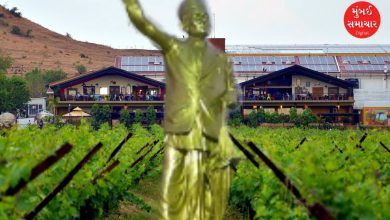 ભગુર નગર પંચાયત ચૂંટણી વિજય બાદ પ્રેરણા બલકવડે અને કાર્યકર્તાઓનો ઉત્સાહ.