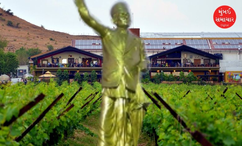 ભગુર નગર પંચાયત ચૂંટણી વિજય બાદ પ્રેરણા બલકવડે અને કાર્યકર્તાઓનો ઉત્સાહ.