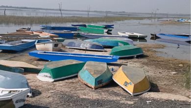 નળ સરોવરમાં સતત બીજા વર્ષે બંધ રહી શકે છે બોટિંગ, જાણો કારણ