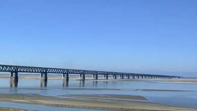 ભારતનો આ બ્રિજ એક પણ નટ-બોલ્ટ વિના તૈયાર થયો છે, બ્રિજ પર ફાઈટર જેટ અને ટેન્ક પણ ઉતારી શકાય છે!