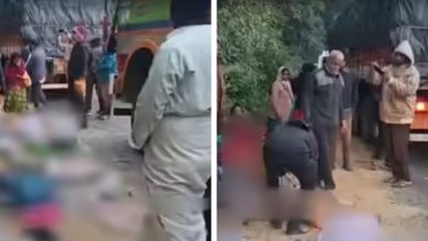 આંધ્રપ્રદેશમાં ગમખ્વાર અકસ્માત: બસ ખીણમાં ખાબકી, 10 લોકોના મોત