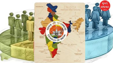 ભારતમાં 2027માં થનારી વસ્તી ગણતરી માટે સરકારી કર્મચારીઓને કામગીરી સોંપાશે