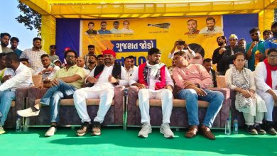 "ગુજરાતમાં સરકાર નહીં, સર્કસ ચાલી રહ્યું છે": ચૈતર વસાવાનો સત્તા પક્ષ પર આકરો પ્રહાર!