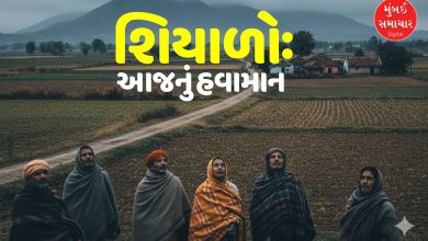 રાજ્યમાં 4 ડિસેમ્બર સુધી રહેશે વાદળછાયું વાતાવરણ, જાણો ક્યારથી શરૂ થશે ઠંડીનો નવો રાઉન્ડ?