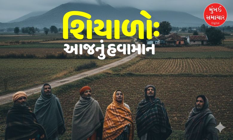 રાજ્યમાં 4 ડિસેમ્બર સુધી રહેશે વાદળછાયું વાતાવરણ, જાણો ક્યારથી શરૂ થશે ઠંડીનો નવો રાઉન્ડ?