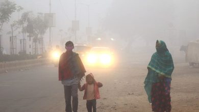 Cold disappears in 'Kashmir of Gujarat': Average maximum temperature in Kutch is 30 degrees