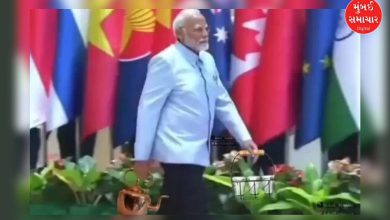 G20 માં ચા વેચતા PM મોદીનો AI વીડિયો કોંગ્રેસ નેતા રાગિની નાયક દ્વારા શેર કરાયો, વિવાદ
