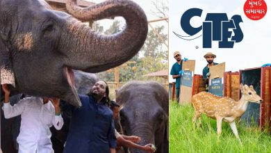 CITES Raises Questions on India Wildlife Imports