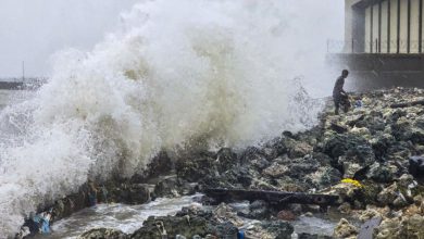 દિતવાહ વાવાઝોડાએ તમિલનાડુમાં તારાજી સર્જી; 3ના મોત, જન જીવન અસ્તવ્યસ્ત