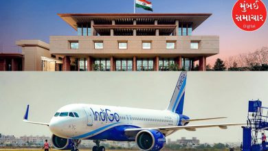 Delhi High Court seeks government's response on Indigo crisis, asks why situation has become so bad?