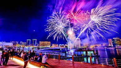 દુબઈ નવા વર્ષની ભવ્ય આતશબાજીનું દ્રશ્ય.