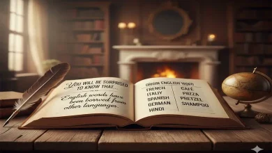 અંગ્રેજી ભાષાના એવા શબ્દો કે જે બીજી ભાષામાંથી ઉધાર લેવામાં આવ્યા છે, જાણીને ચોંકી ઉઠશો...