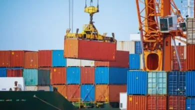 વાણિજ્ય અને ઉદ્યોગ ખાતાના પ્રધાન પીયૂષ ગોયલ ભારતીય નિકાસ વૃદ્ધિ અને મુક્ત વેપાર કરાર (FTA) વિશે માહિતી આપી રહ્યા છે.