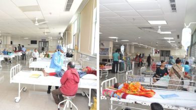 કેન્સરગ્રસ્તોની 'જીવાદોરી' સાબિત થયું આ સરકારી 'ભંડોળ': 4 વર્ષમાં થઈ 2000થી વધુ દર્દીની સારવાર