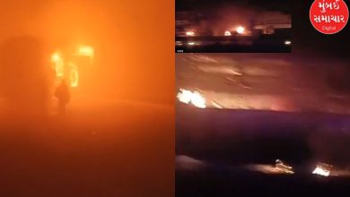 Fire breaks out after 7 buses and 3 cars collide in Mathura; Watch horrifying video
