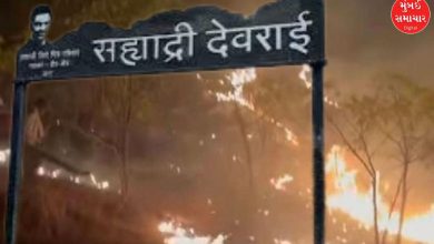 બીડમાં અભિનેતા સયાજી શિંદેના 'સહ્યાદ્રી દેવરાઈ' પ્રોજેક્ટમાં આગઃ હજારો વૃક્ષોને નુકસાન