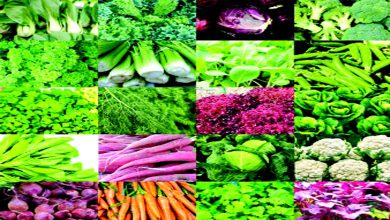 From diet to health: Protects against virus infection in winter