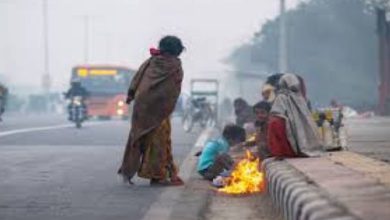 ગુજરાતમાં ઠંડીમાં વધારો, અમરેલી 12 ડિગ્રી સેલ્સિયસ સાથે સૌથી ઠંડુ શહેર