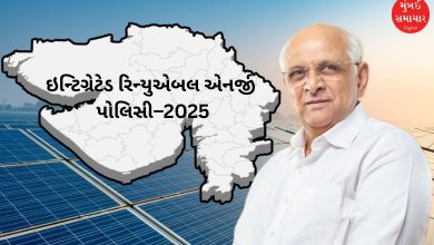 ગુજરાત સરકારે ઇન્ટિગ્રેટેડ રિન્યુએબલ એનર્જી પોલિસી–2025 લૉંચ કરી