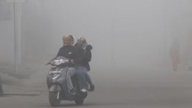 ગુજરાત હવામાન: ઠંડીની જમાવટ, મોટાભાગના શહેરોમાં તાપમાન 15°C થી નીચે!