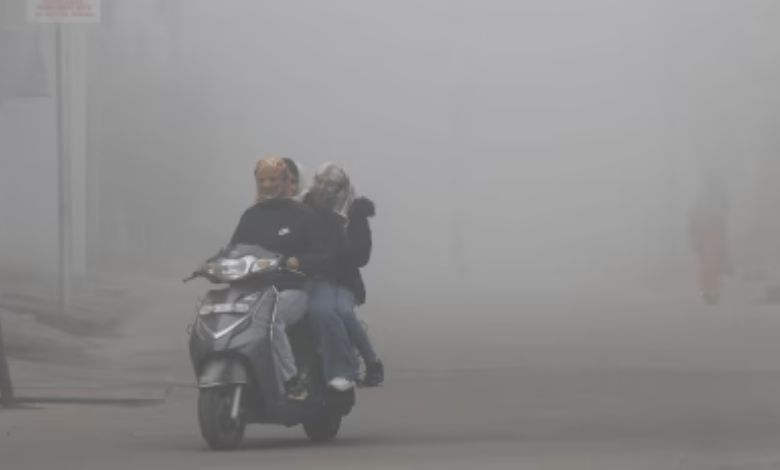 ગુજરાત હવામાન: ઠંડીની જમાવટ, મોટાભાગના શહેરોમાં તાપમાન 15°C થી નીચે!