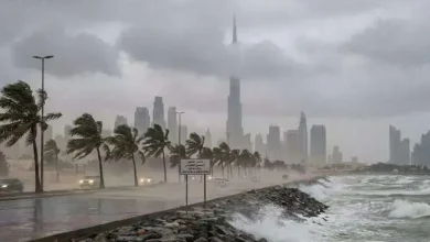 UAEના પહાડી વિસ્તારોમાં વરસાદને કારણે વહેતા પાણીના ઝરણાં.