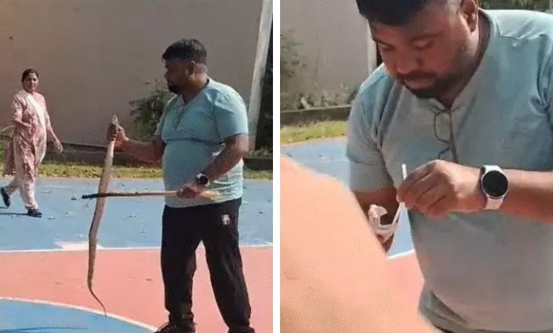 વડોદરાઃ થોડા દિવસ પહેલા વલસાડમાં એક યુવકે સાપને સીપીઆર આપી જીવ બચાવ્યો હતો. આ ઘટનાનો વીડિયો વાયરલ થયો હતો. વલસાડ બાદ વડોદરામાં પણ આવી જ ઘટના સામે આવી હતી.