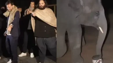 લિયોનેલ મેસી અને હાથી માણિકલાલ વનતારામાં ફૂટબોલ રમતા.