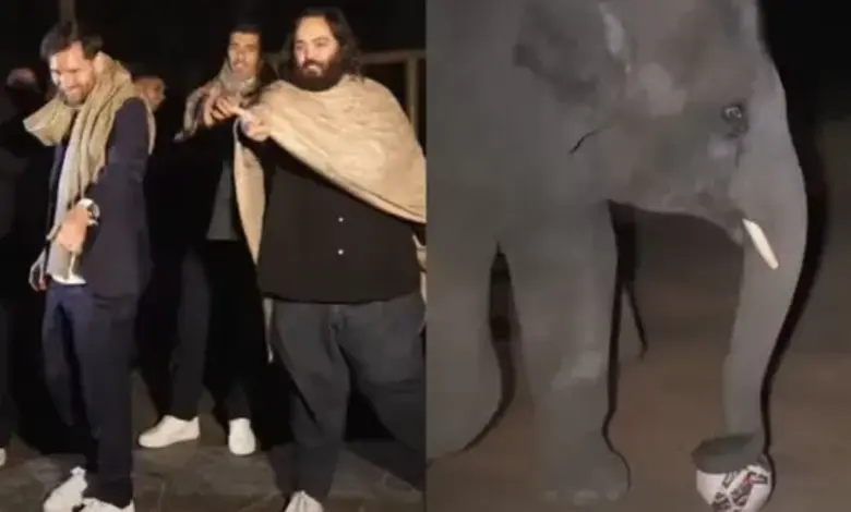 લિયોનેલ મેસી અને હાથી માણિકલાલ વનતારામાં ફૂટબોલ રમતા.