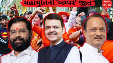 ચૂંટણીમાં મહાયુતિની 'બમ્પર' જીત: MVA કરતા અઢી ગણી વધુ બેઠક પર ભાજપનો દબદબો, નેતાઓએ શું કહ્યું?