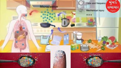 Microplastics are becoming 'slow poison', their presence has been seen in this everyday kitchen item
