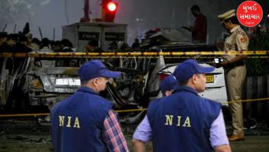 જમ્મુ-કાશ્મીરમાં દિલ્હી વિસ્ફોટ કેસની તપાસ કરતી NIA અને સુરક્ષા દળો.