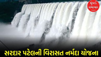 સરદાર પટેલની દૂરંદેશીનું જીવંત ઉદાહરણ છે ગુજરાતની જીવાદોરી સમાન નર્મદા યોજના, રાજ્યમાં દુષ્કાળ બન્યો ભૂતકાળ સરદાર પટેલના આ મહાસ્વપ્ન સમાન સરદાર સરોવર-નર્મદા યોજનાને વડા પ્રધાન મોદીના હસ્તે તા.૧૭ સપ્ટેમ્બર ૨૦૧૭ના રોજ રાષ્ટ્રાર્પણ કરાઈ હતી