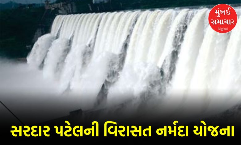 સરદાર પટેલની દૂરંદેશીનું જીવંત ઉદાહરણ છે ગુજરાતની જીવાદોરી સમાન નર્મદા યોજના, રાજ્યમાં દુષ્કાળ બન્યો ભૂતકાળ સરદાર પટેલના આ મહાસ્વપ્ન સમાન સરદાર સરોવર-નર્મદા યોજનાને વડા પ્રધાન મોદીના હસ્તે તા.૧૭ સપ્ટેમ્બર ૨૦૧૭ના રોજ રાષ્ટ્રાર્પણ કરાઈ હતી