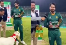Pakistan Cricket: Goat Reward for Player of Match