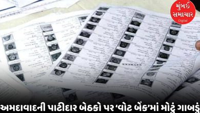 અમદાવાદમાં પાટીદાર ગઢમાં મતદારોની 'સફાઈ': આ વિધાનસભામાં જીતની લીડથી વધુ મતદારો યાદીમાંથી ગાયબ