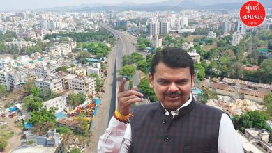 નાગપુરમાં પુણે મેટ્રોપોલિટન આયોજન સમિતિની બેઠકમાં બોલતા મુખ્યમંત્રી દેવેન્દ્ર ફડણવીસ