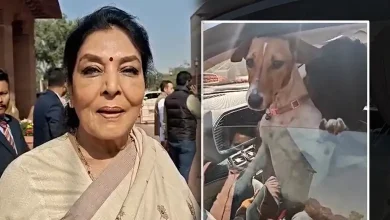 ‘કરડનારા તો અંદર બેઠા છે!’ શ્વાન સાથે સંસદભવન પહોંચ્યા કોંગ્રેસ સાંસદ રેણુકા ચૌધરીએ
