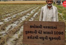 ગુજરાતમાં કમોસમી વરસાદમાં પાક નુકશાની પેટે સરકારે 1098 કરોડથી વધુની ચૂકવણી કરી