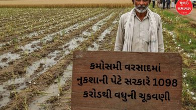 ગુજરાતમાં કમોસમી વરસાદમાં પાક નુકશાની પેટે સરકારે 1098 કરોડથી વધુની ચૂકવણી કરી