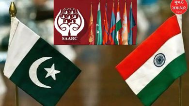 Pakistan again spits venom against India alleges SAARC inaction