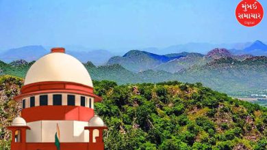 અરવલ્લી કેસમાં સુપ્રીમ કોર્ટનું શિર્ષાસન, પોતાના જ આદેશ પર સ્ટે આપ્યો, કેન્દ્ર પાસે ખનન મુદ્દે સ્પષ્ટતાઓ માંગી