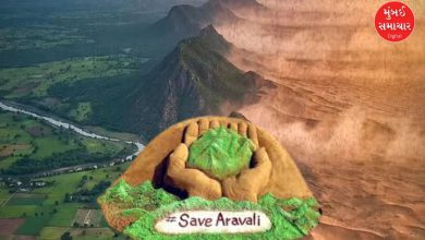 અરવલ્લી પર્વતમાળા અને પર્યાવરણીય સંરક્ષણનું દ્રશ્ય