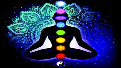 ધ્યાનમુદ્રામાં બેઠેલા શિષ્ય પર ગુરુ આશીર્વાદ સ્વરૂપે શક્તિપાત કરી રહ્યા છે, જે કુંડલિની જાગૃતિનું પ્રતીક છે.