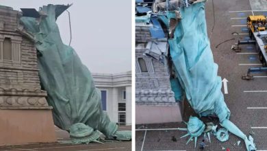 દક્ષિણ બ્રાઝિલના ગુઆઇબા શહેરમાં પ્રાઈવેટ પ્રોપર્ટીમાં સ્ટેચ્યુ ઓફ લિબર્ટીની પ્રતિકૃતિ ધરાશાયી